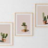 BOHO KAKTÜS SET — Dijital Sanat Baskısı - Görsel 6